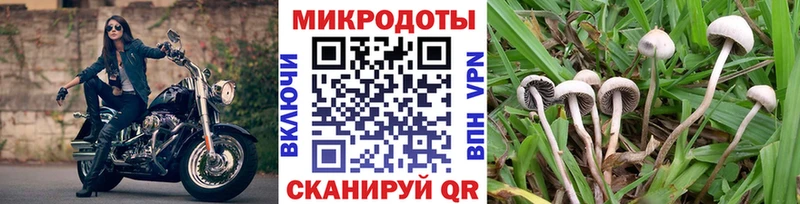 Псилоцибиновые грибы мухоморы  Тавда 