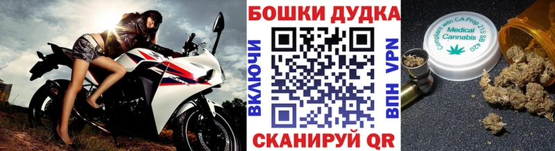 Бошки Шишки THC 21%  продажа наркотиков  Тавда 